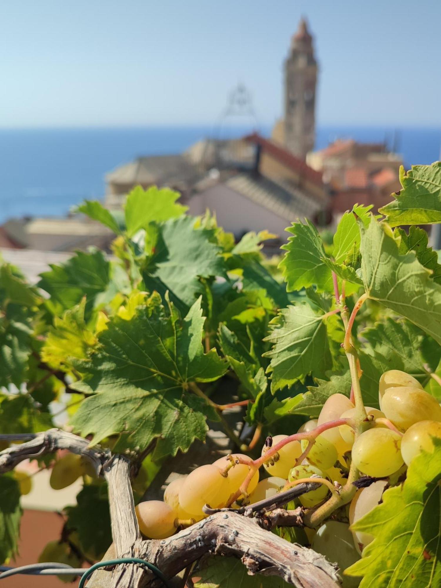 Eco Del Mare * Cervo